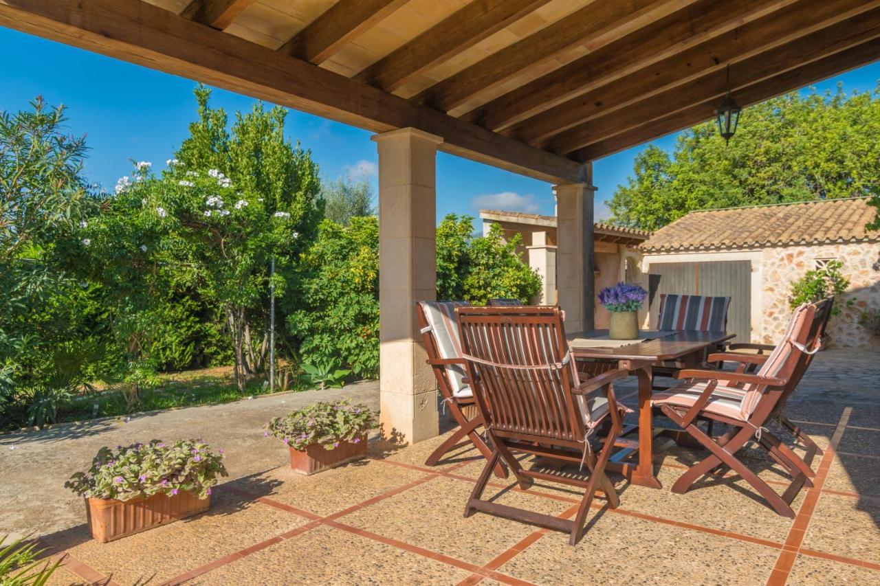 Tut Villa