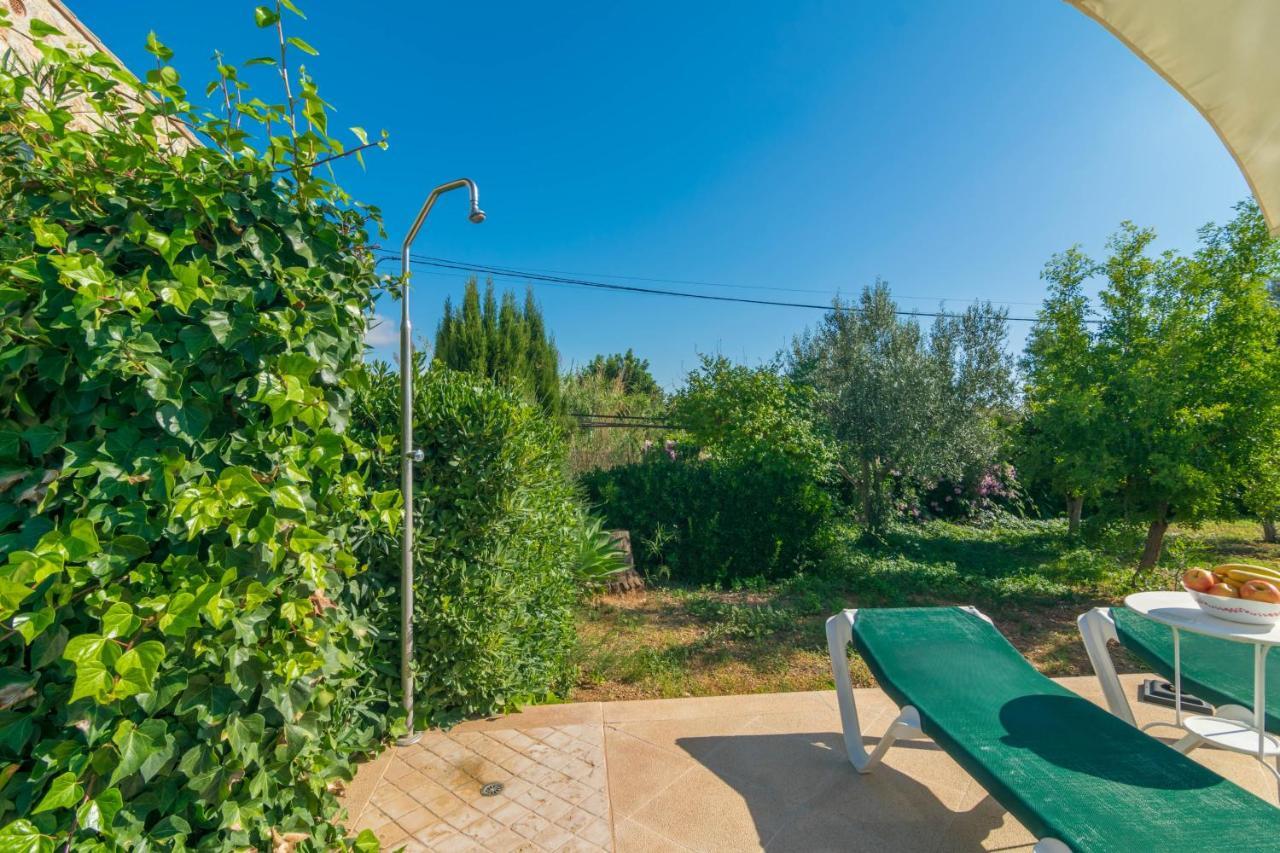 Tut Villa