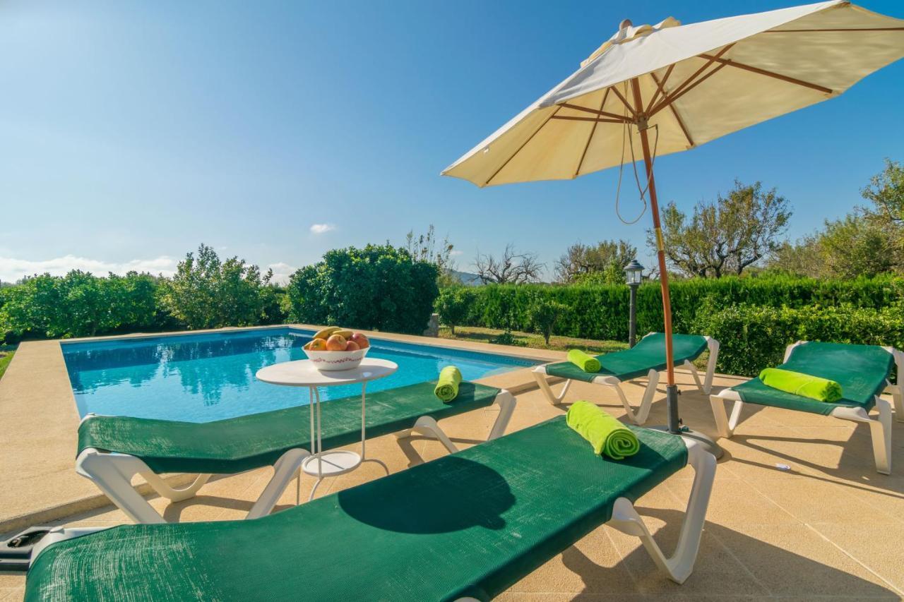 Tut Villa