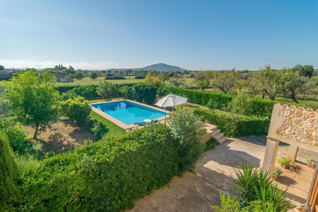 Tut Villa